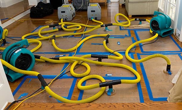 Professional Flood Damage Restoration technician working in Lowland, NC